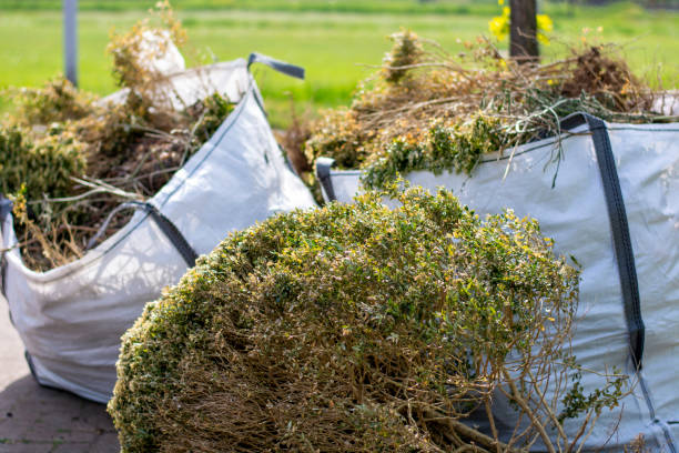 Best Commercial Cleanout Services  in Athens, WV